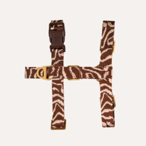Ethnic dog harness