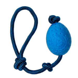 Kiwi Walker Let's play! egg Blue