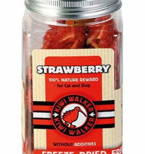 Snack-Strawberry 25 gr