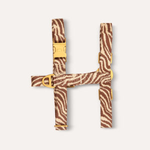 Zebra harnass