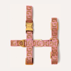 DG dog harness