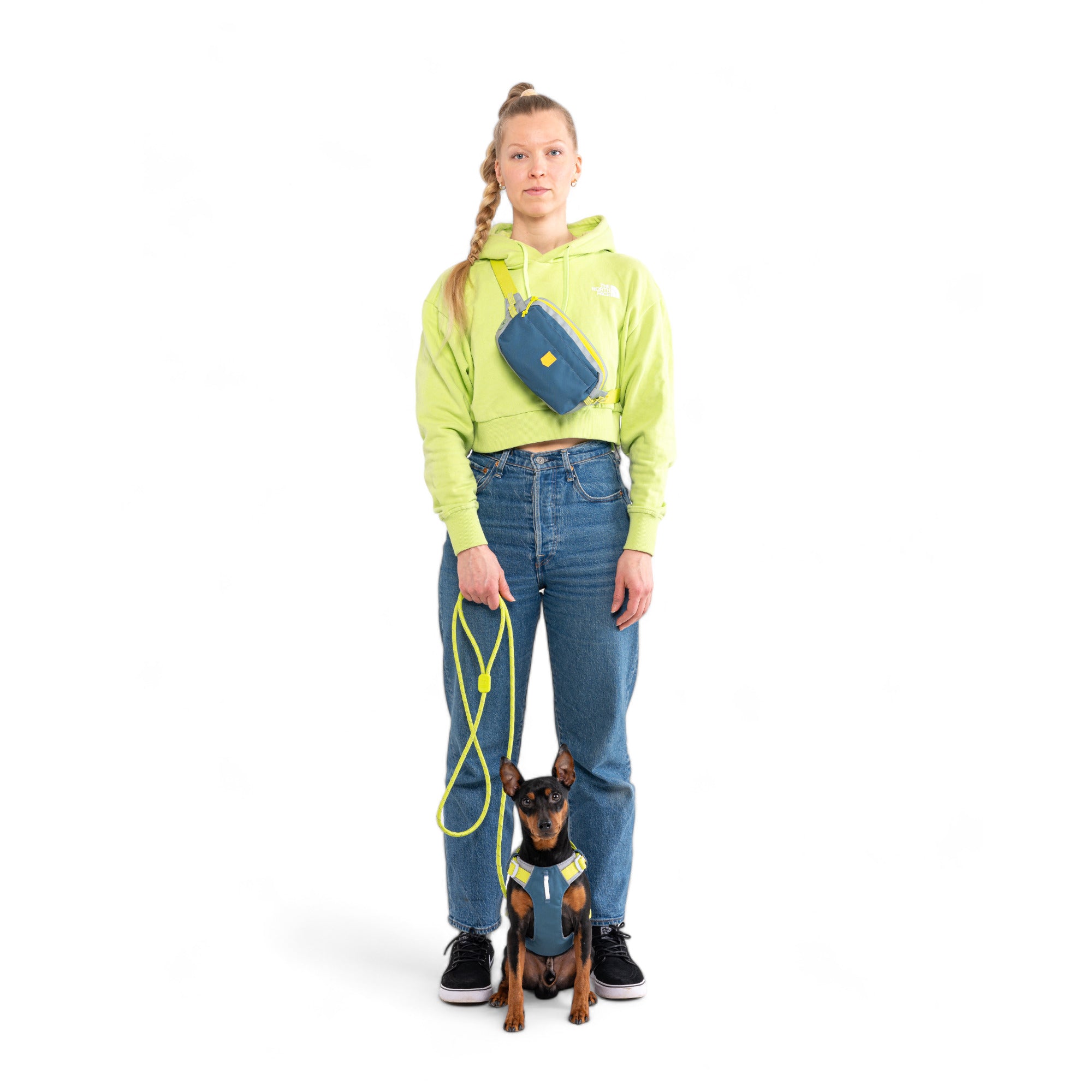 Alpha 360 Dog Harness Deep Teal - Afbeelding 7