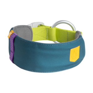 Alpha 360 Dog Collar Deep Teal
