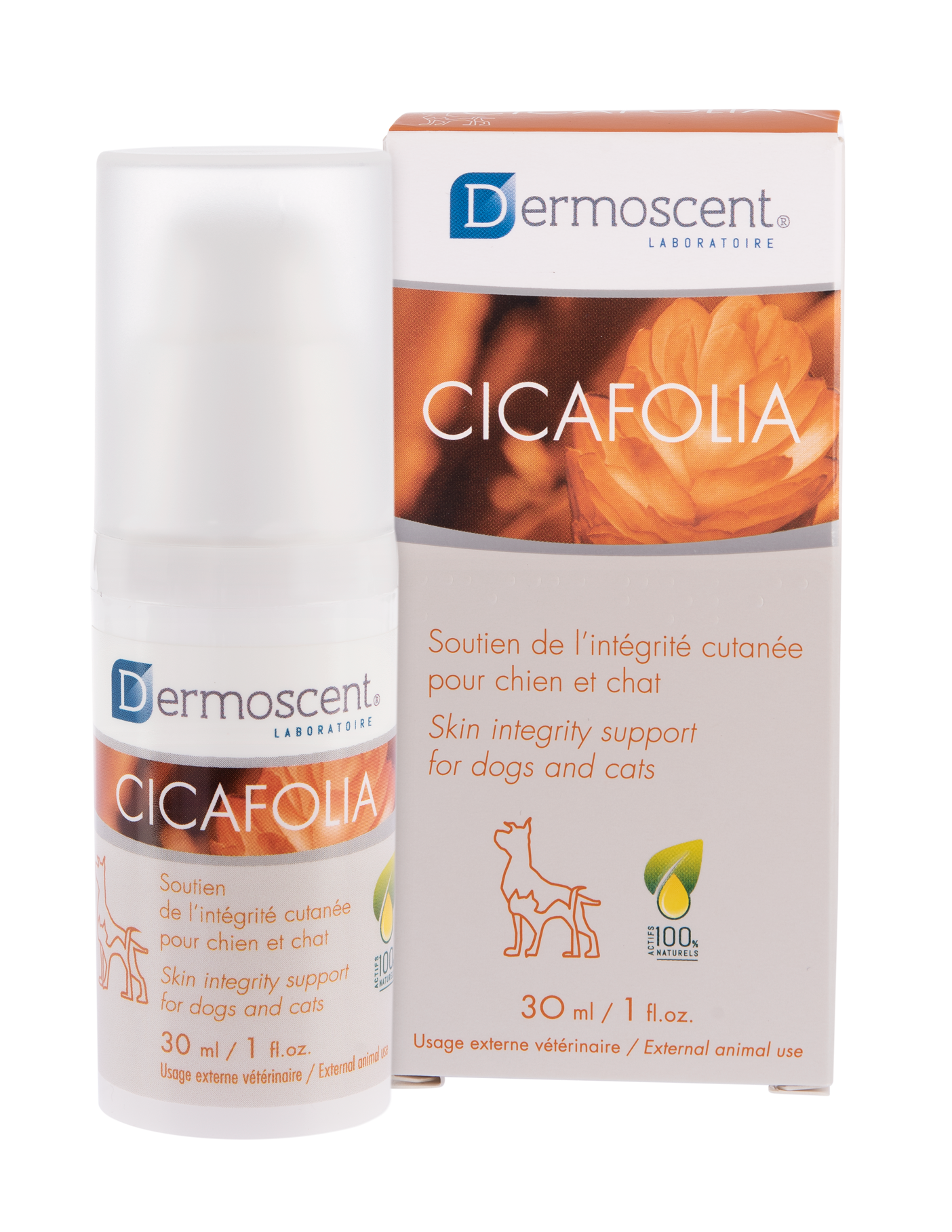 Cicafolia