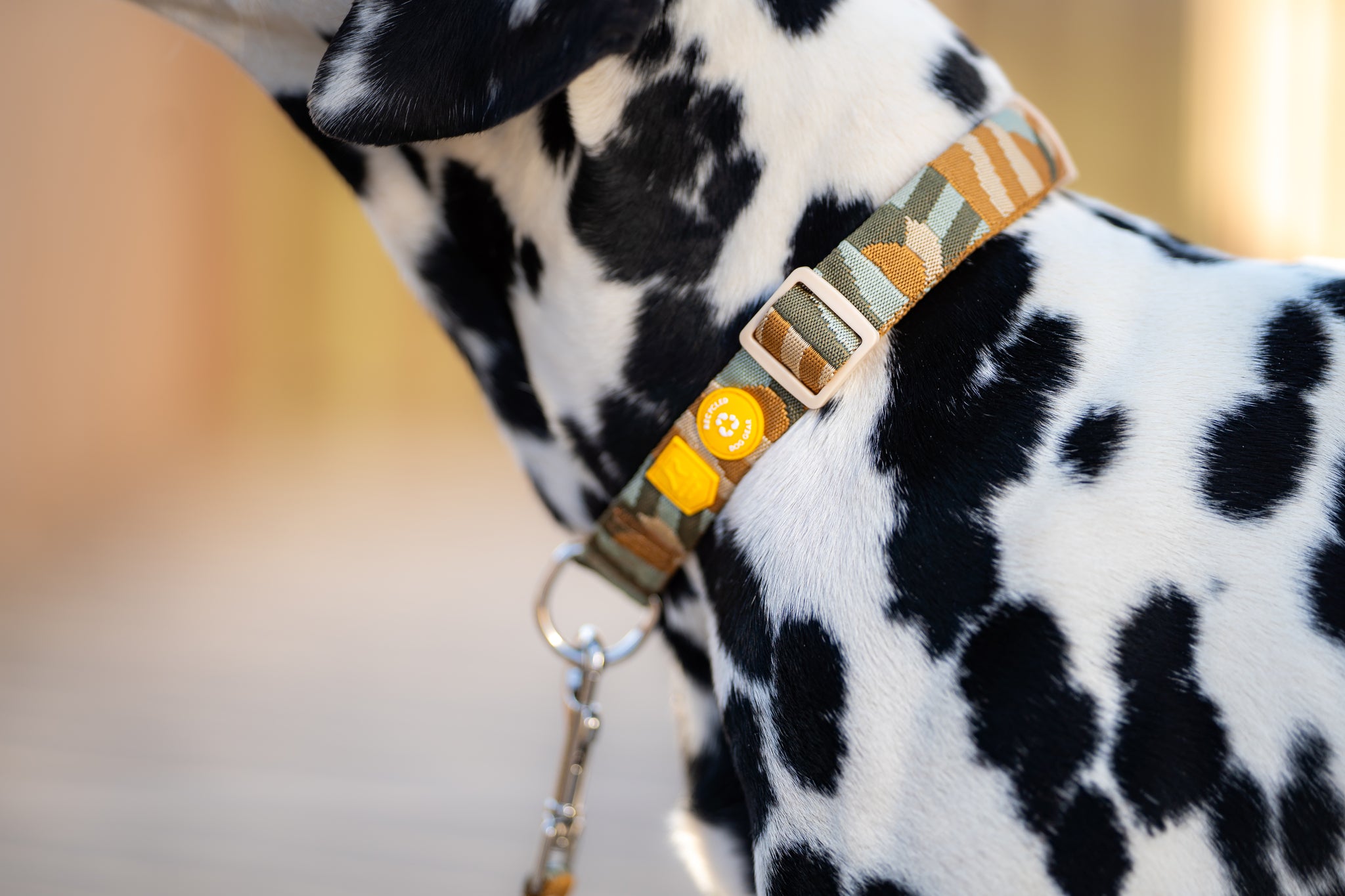Cloudbeam dog-Collar - Afbeelding 3