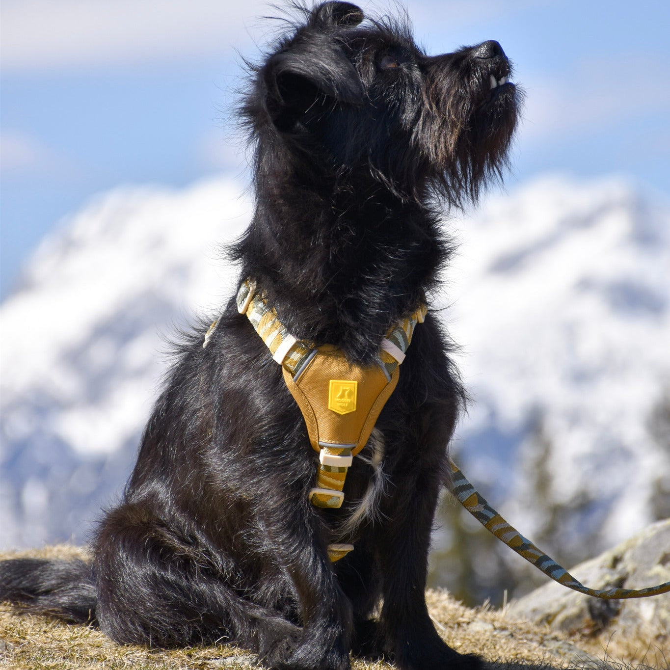 Cloudbeam Dog Harness - Afbeelding 12