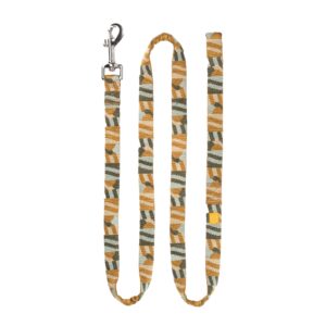 Cloudbeam Dog Leash