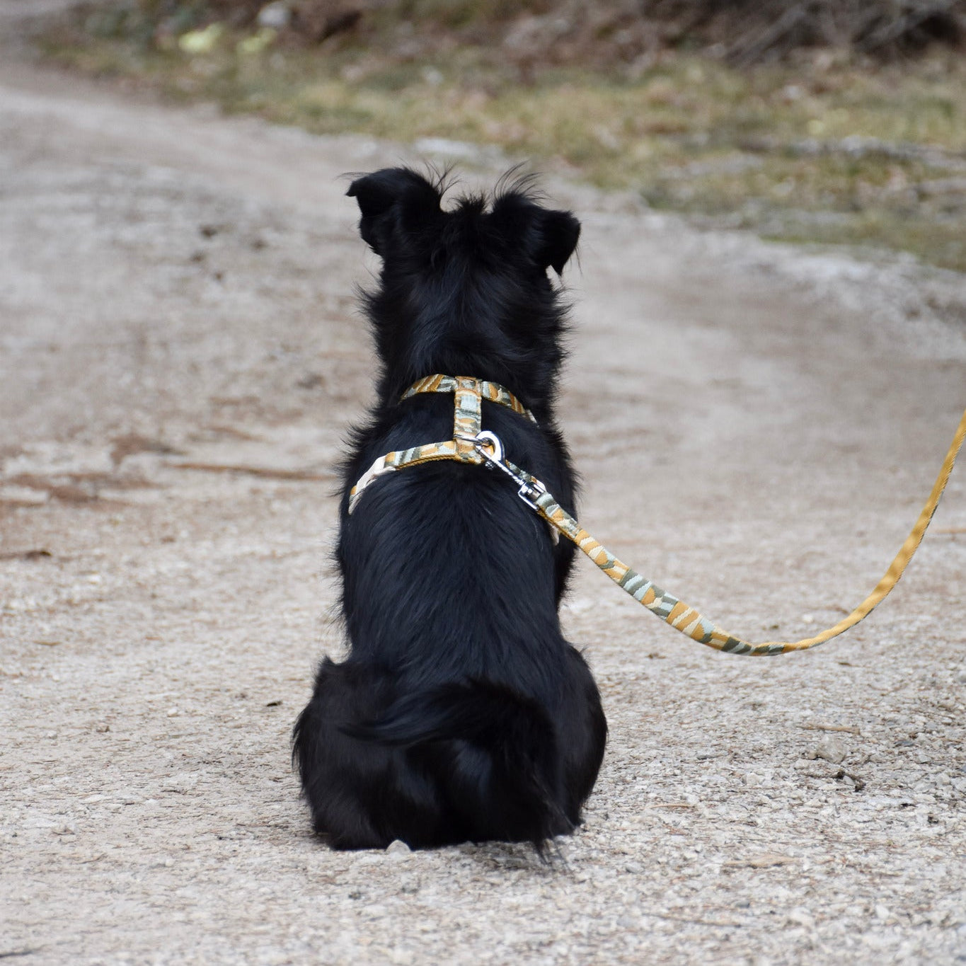 Cloudbeam Dog Leash - Afbeelding 5