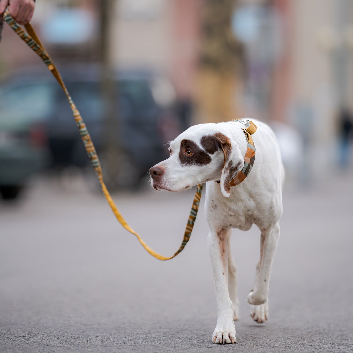 Cloudbeam Dog Leash - Afbeelding 2