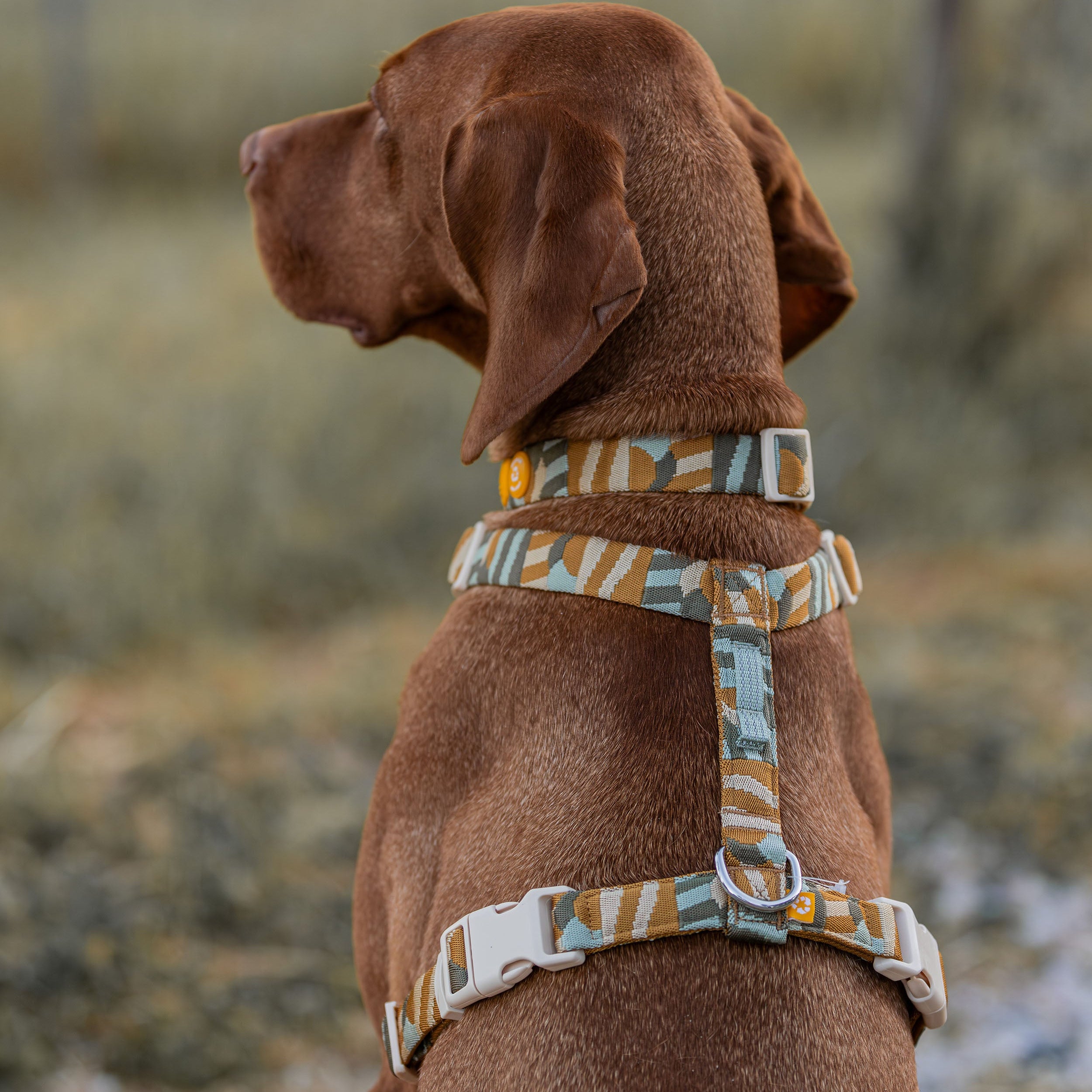 Cloudbeam Dog Harness - Afbeelding 10