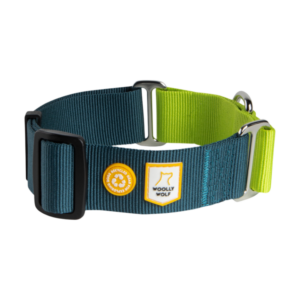 Color Block Martingale Dog Collar Deep Teal