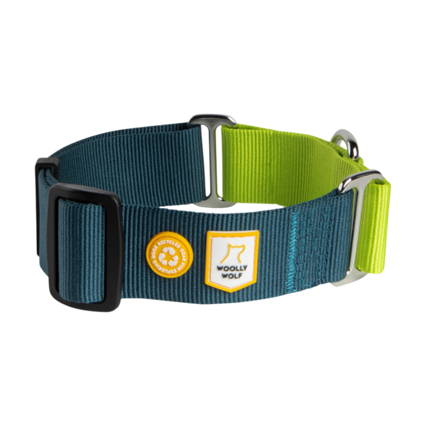 Color Block Martingale Dog Collar Deep Teal