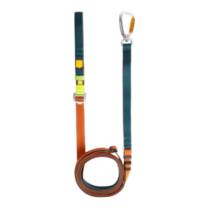 Color Block Multi-Use Dog Leash Lime Mix