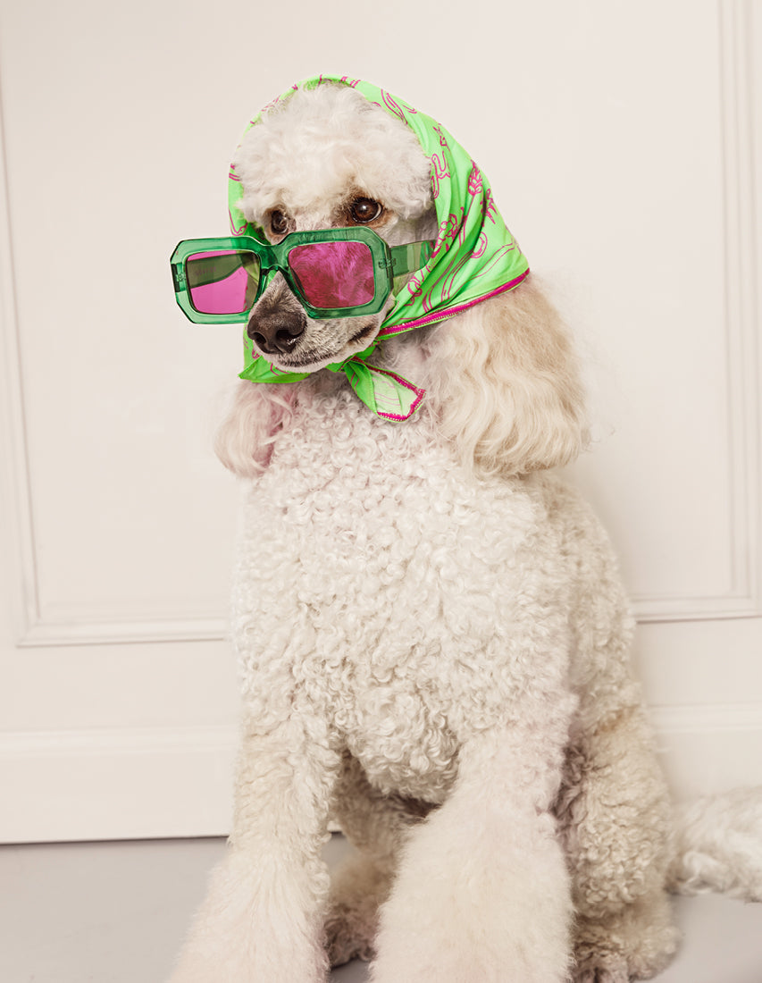 Bandana soleil - green / pink - Afbeelding 3