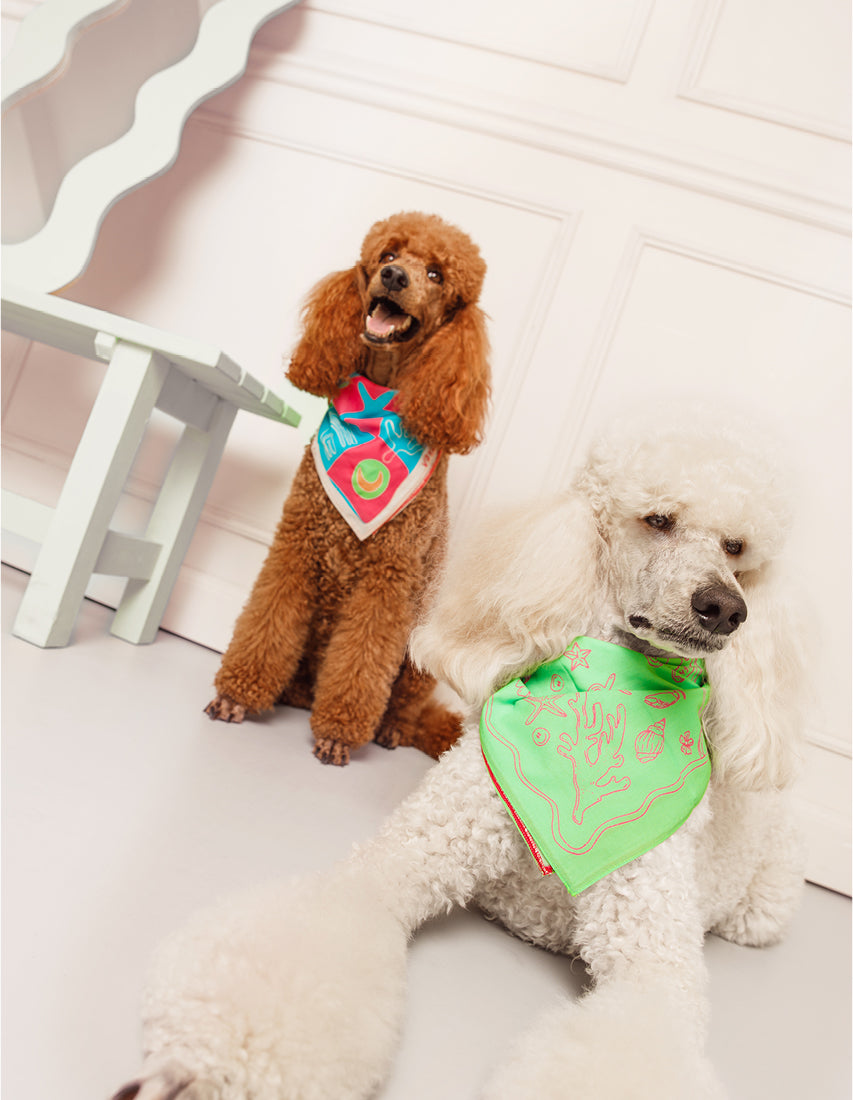 Bandana soleil - green / pink - Afbeelding 4