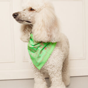 Bandana soleil - green / pink