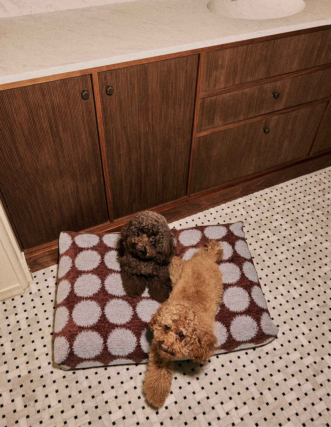 Dot dog bed - Afbeelding 7