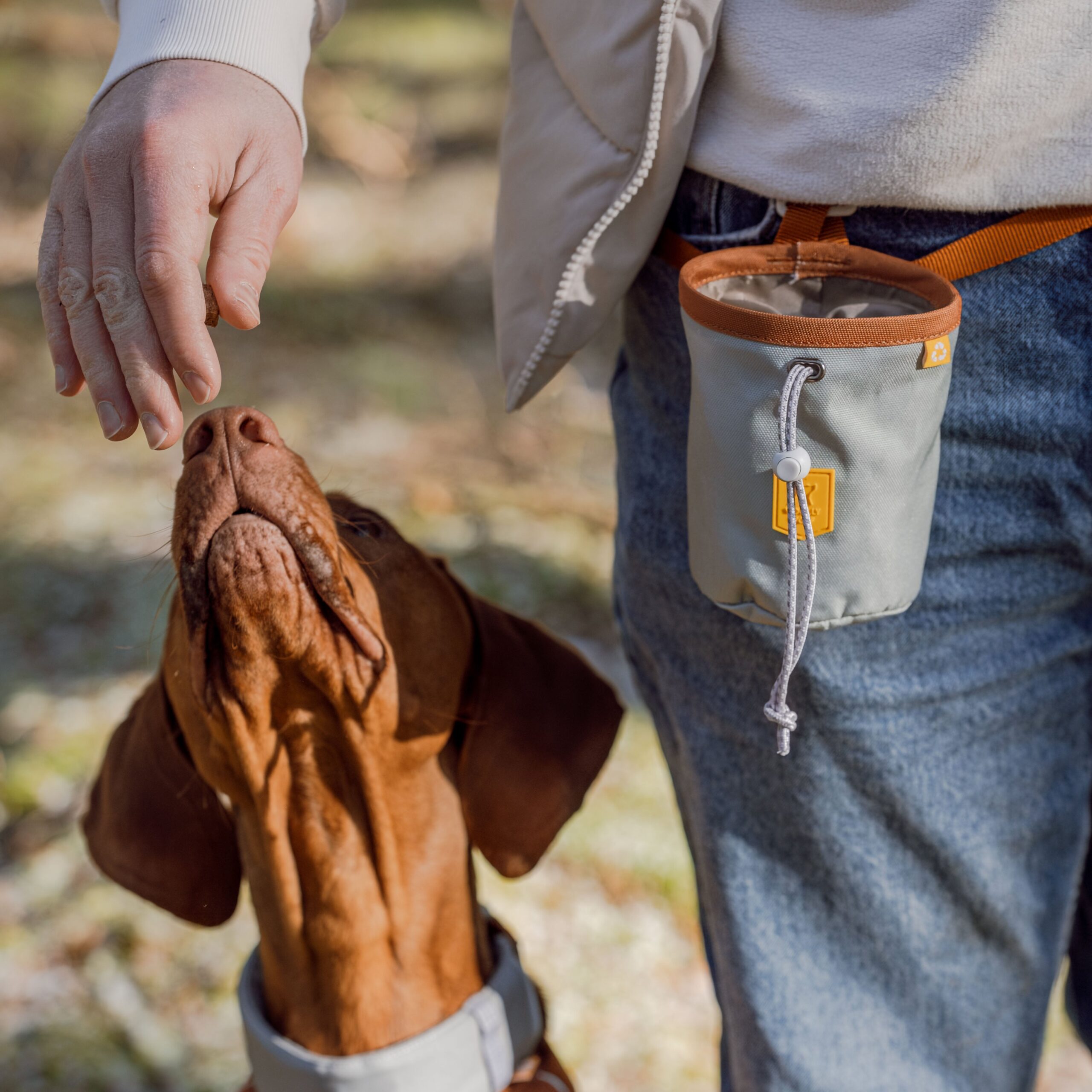 Alpha 360 Dog Snack Bag Glacier Green - Afbeelding 3