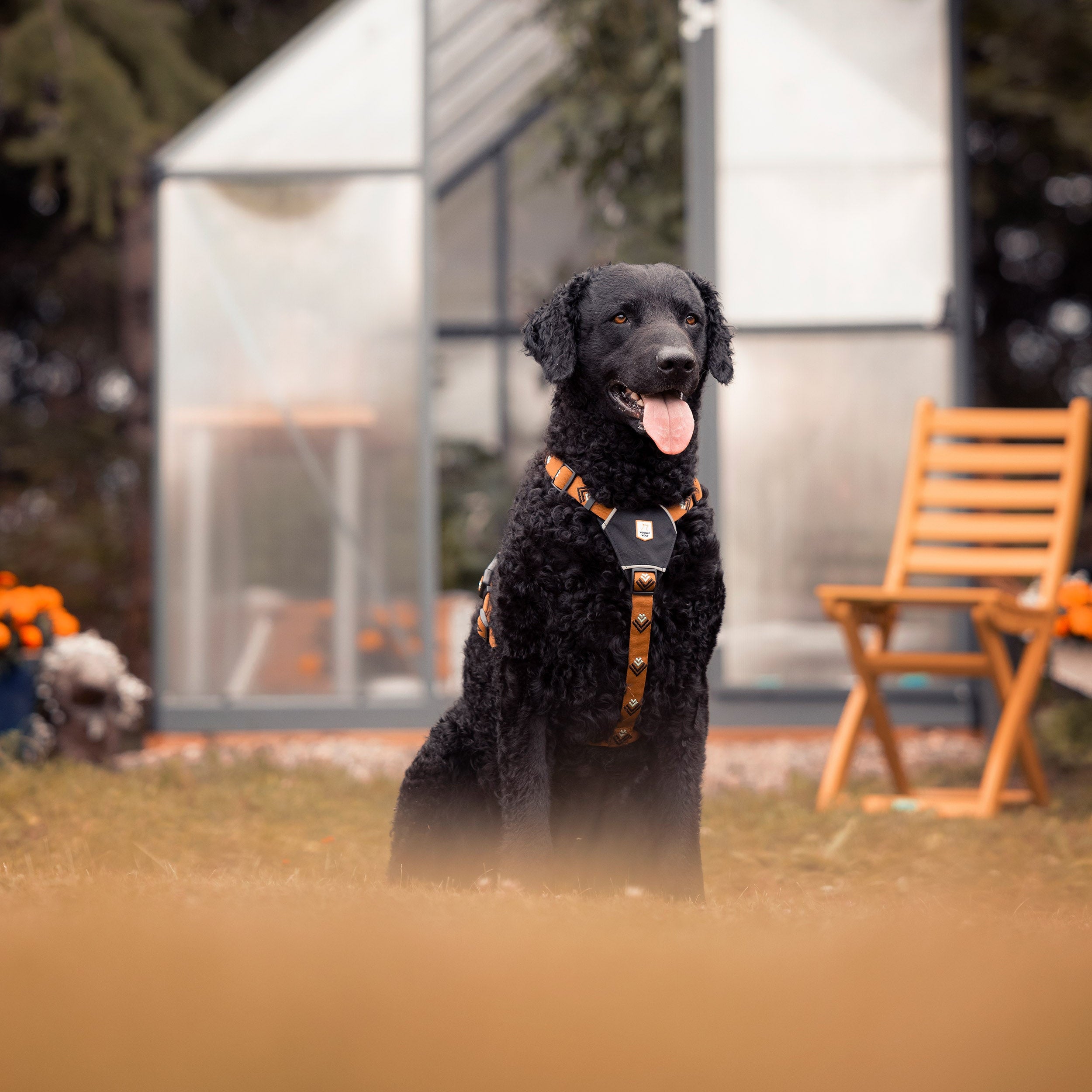 Sea To Summit Dog Harness - Afbeelding 7