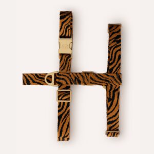 Zebra harnass