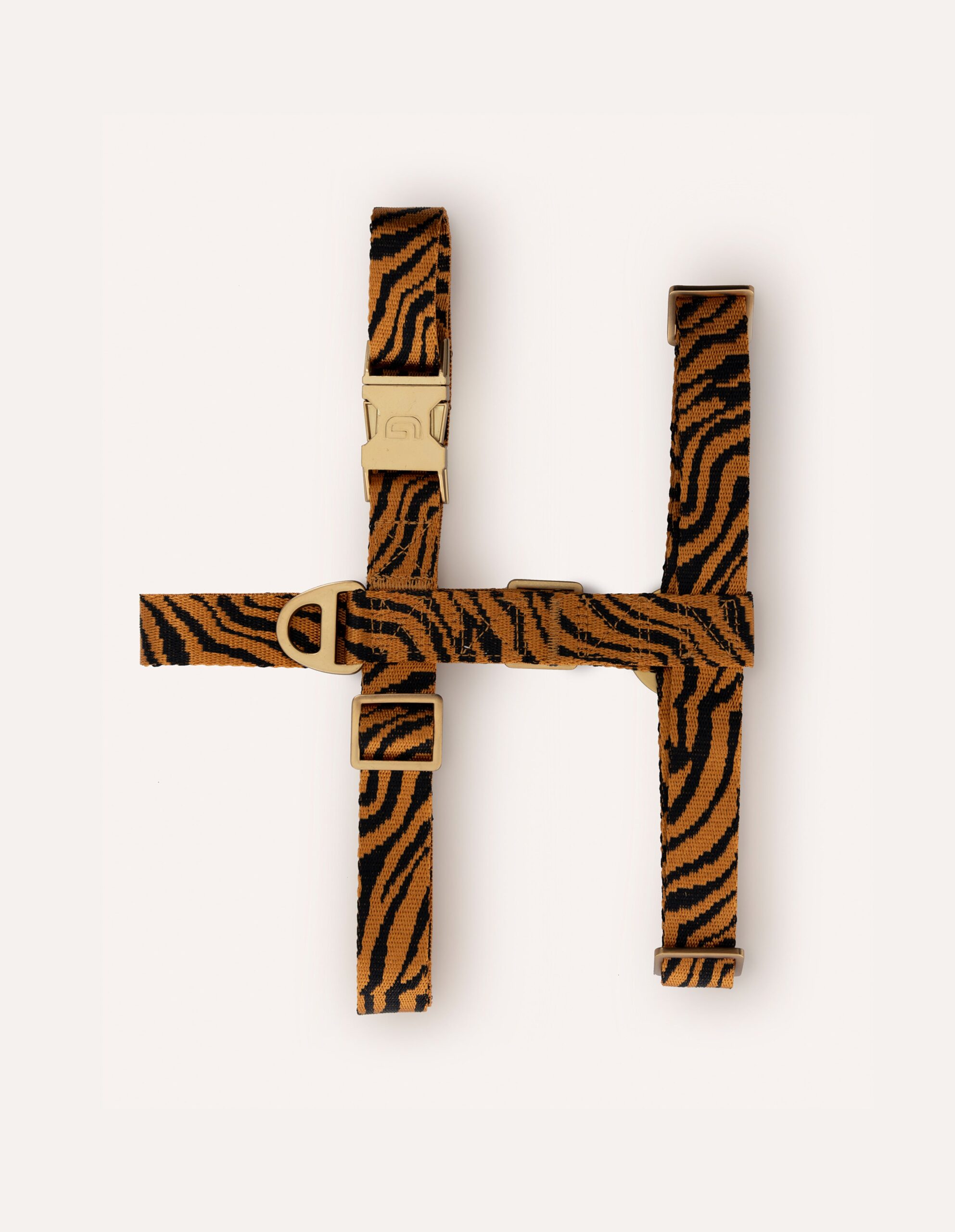 Zebra harnass