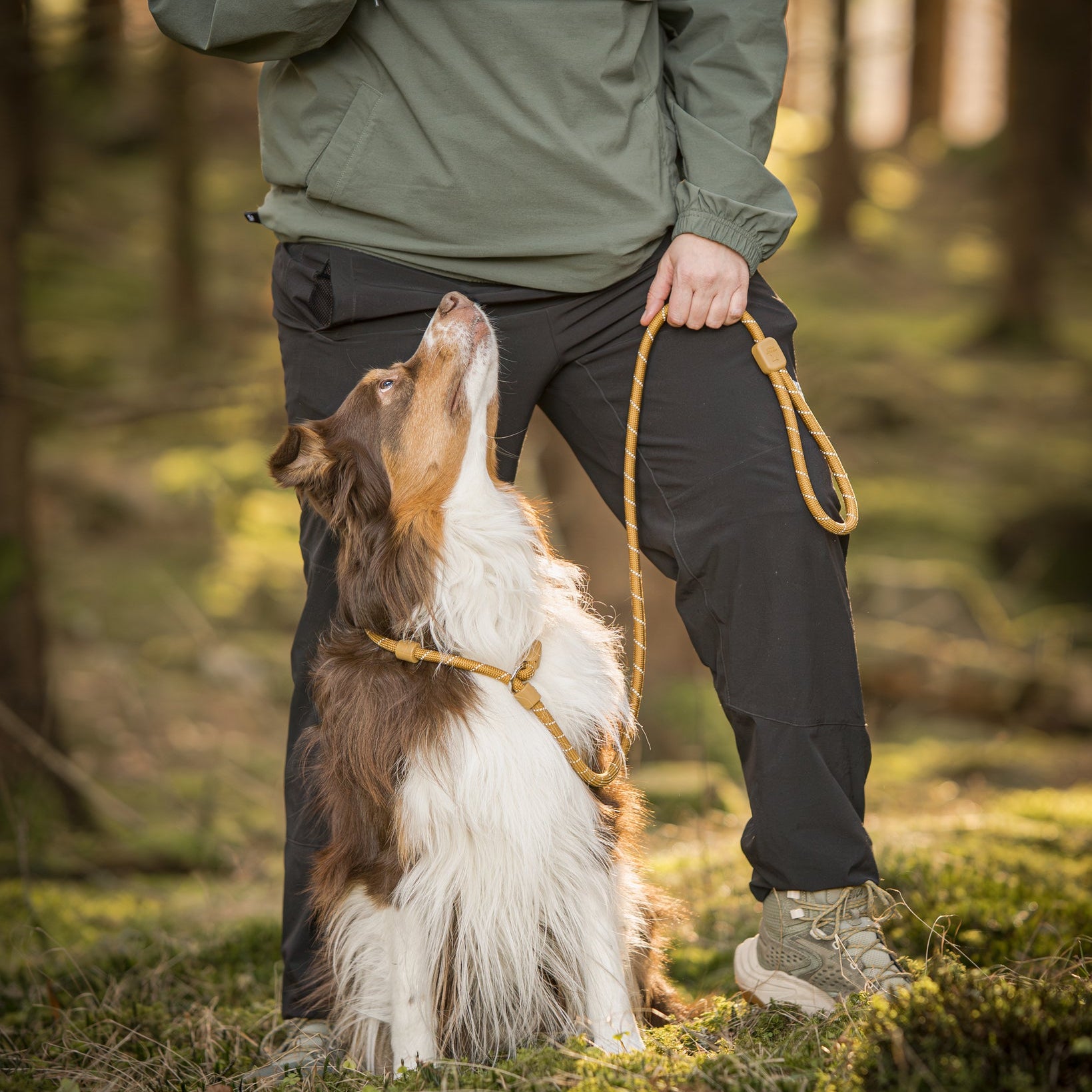 Retriever Leash Wood Brown - Afbeelding 3