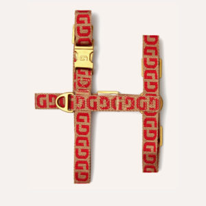 DG dog harness
