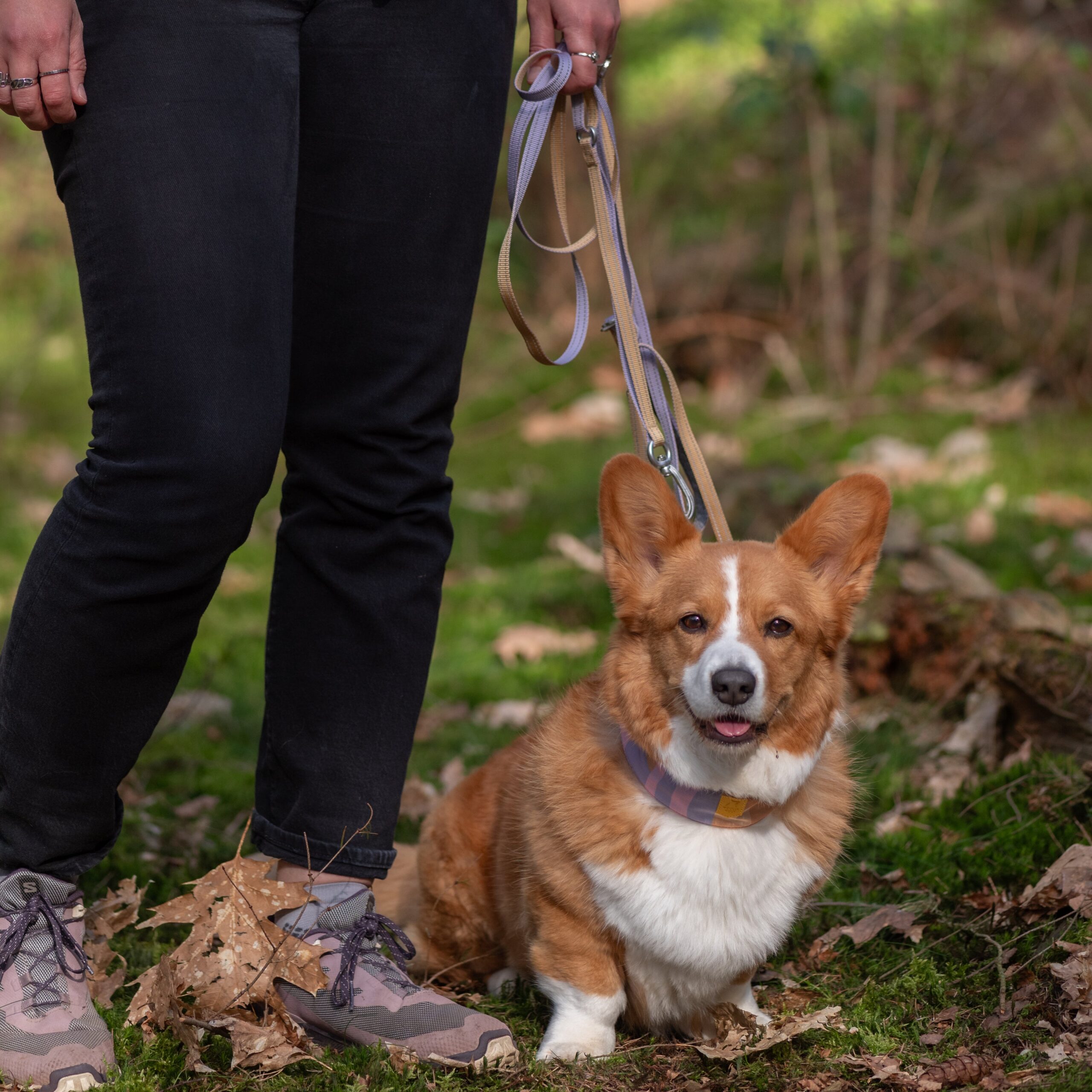 Multi-use Dog Leash Thin Lavender Mix - Afbeelding 2