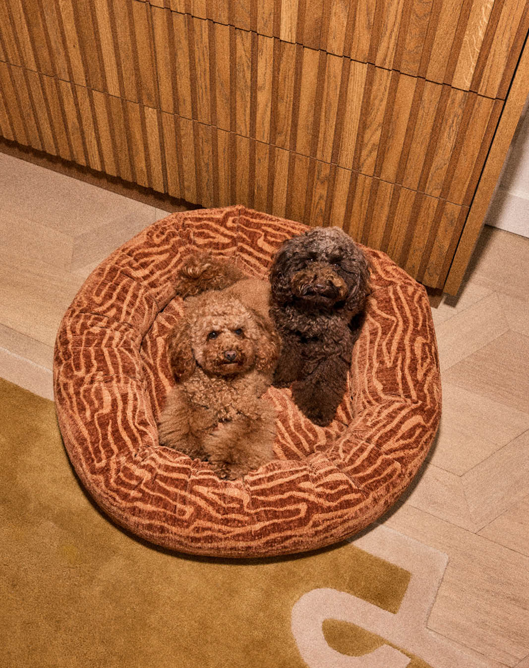 Ethnic round dog bed