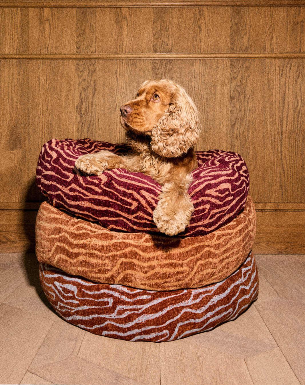 Ethnic round dog bed - Afbeelding 2