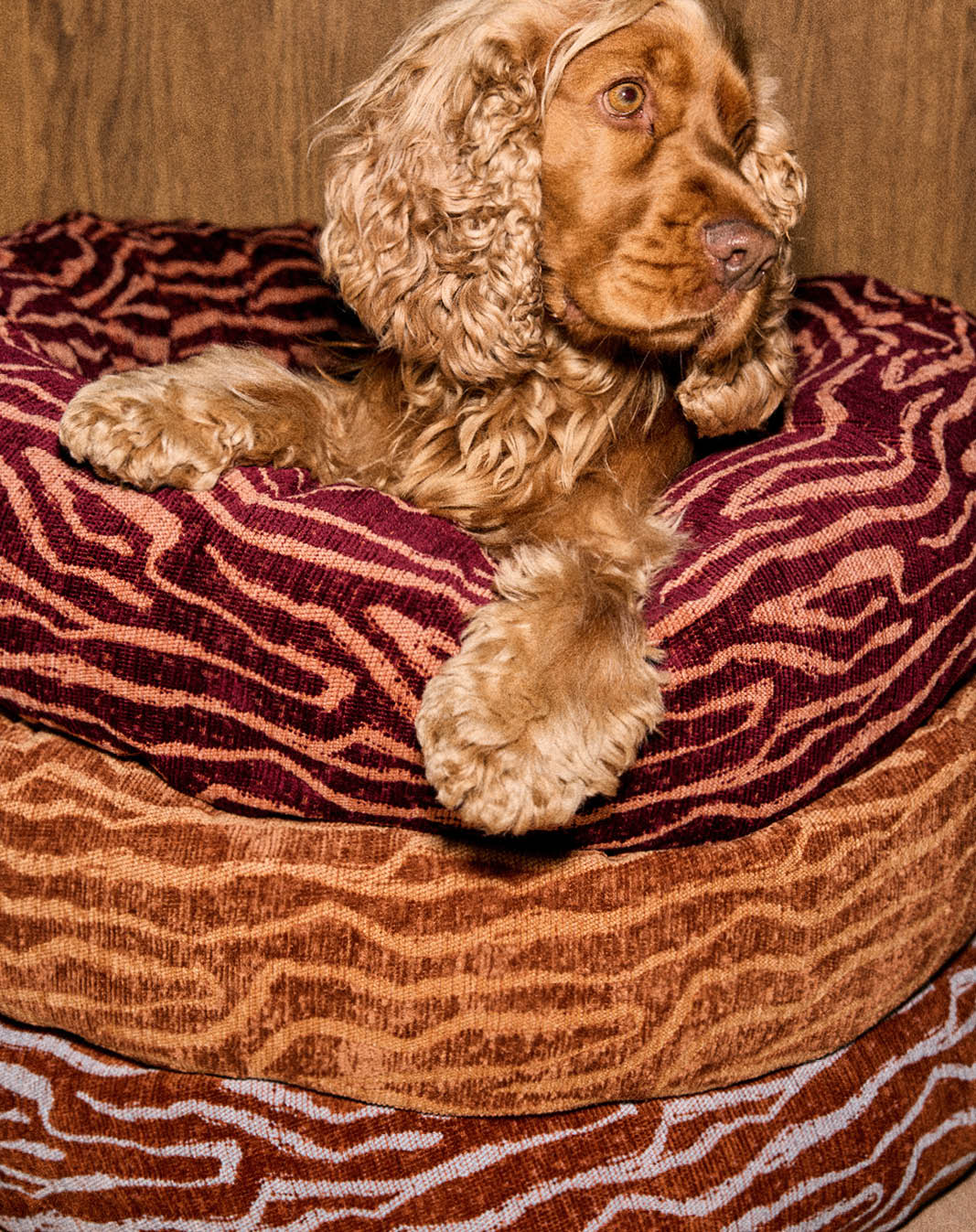 Ethnic round dog bed - Afbeelding 3