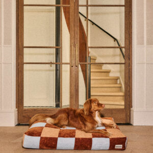 Block dog bed