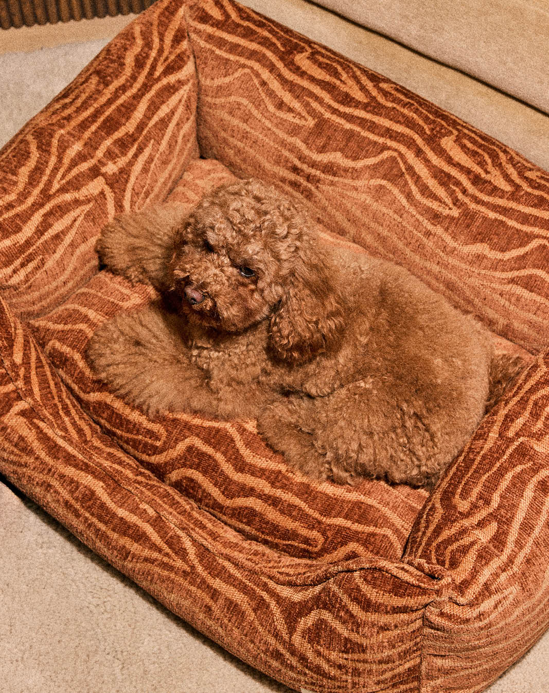 Ethnic sofa dog bed