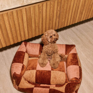 Block sofa dog bed