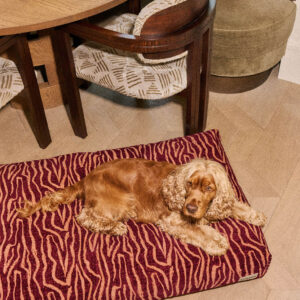 Ethnic dog bed