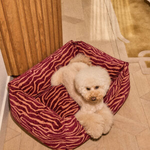 Ethnic sofa dog bed