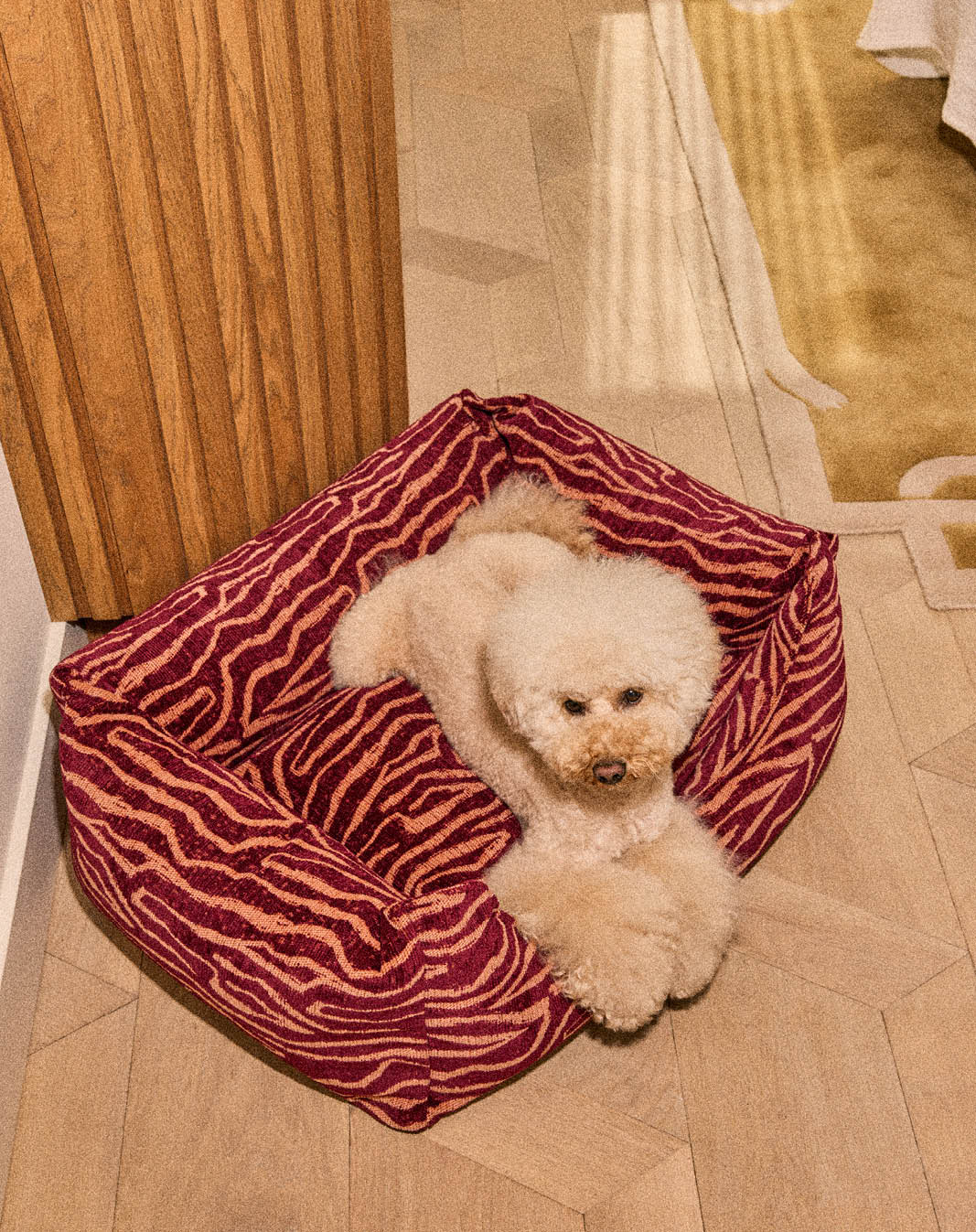 Ethnic sofa dog bed