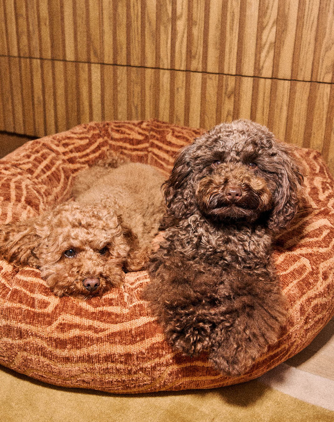 Ethnic round dog bed - Afbeelding 3