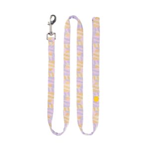 Sunshower Dog Leash