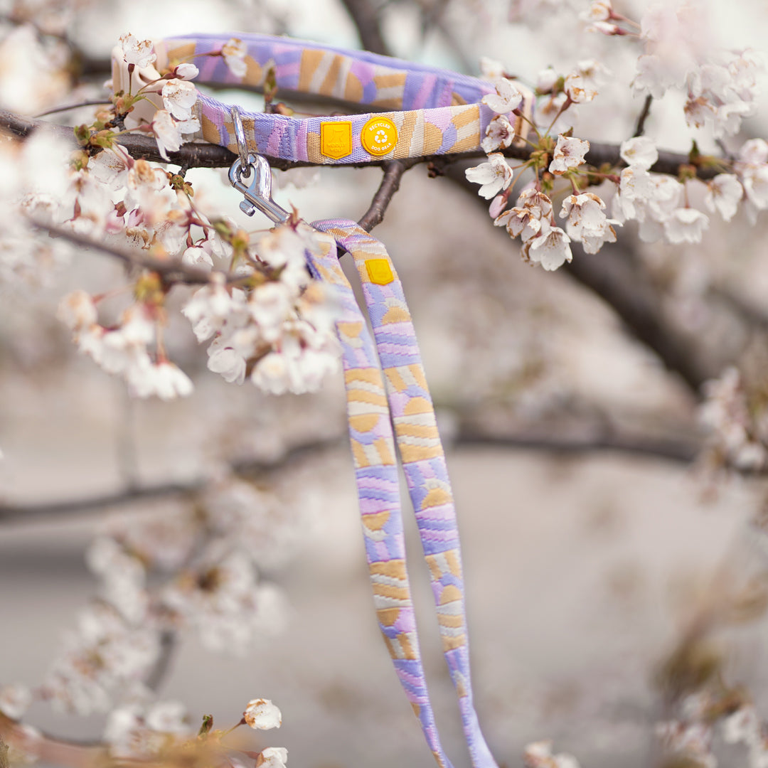 Sunshower Dog Leash - Afbeelding 3