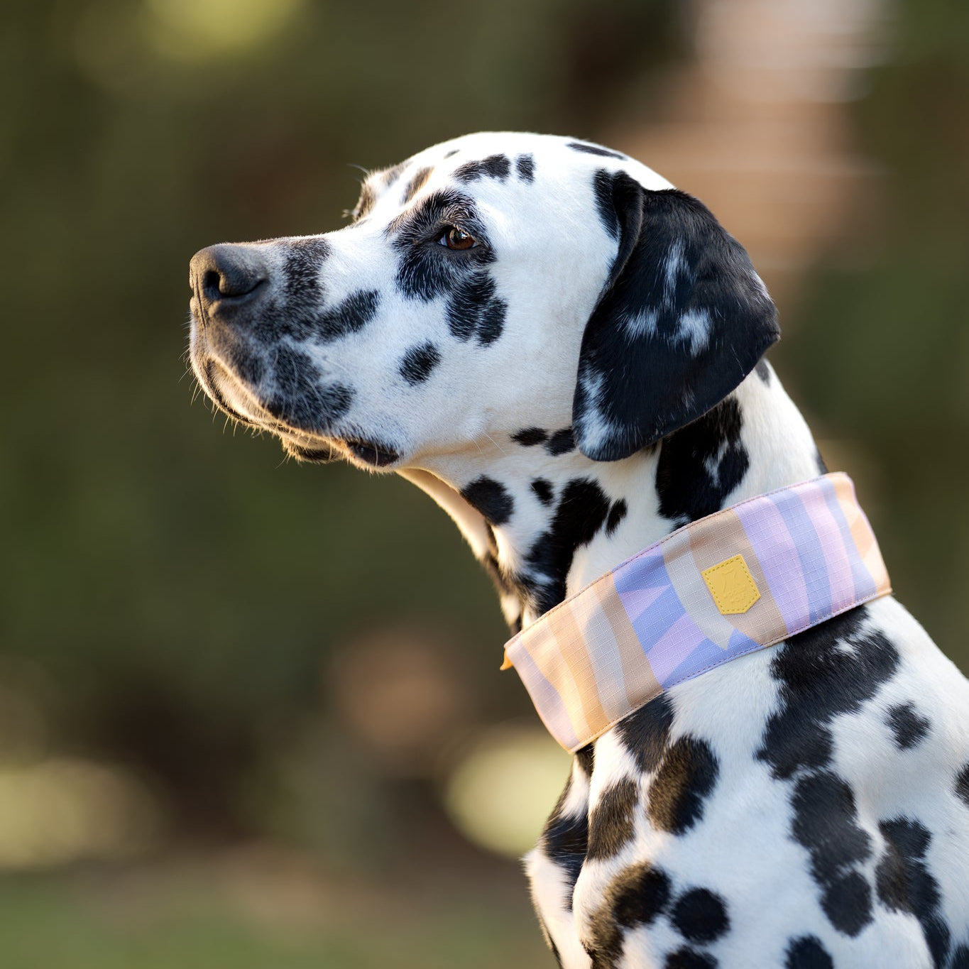 Sunshower Soft Martingale Collar - Afbeelding 2
