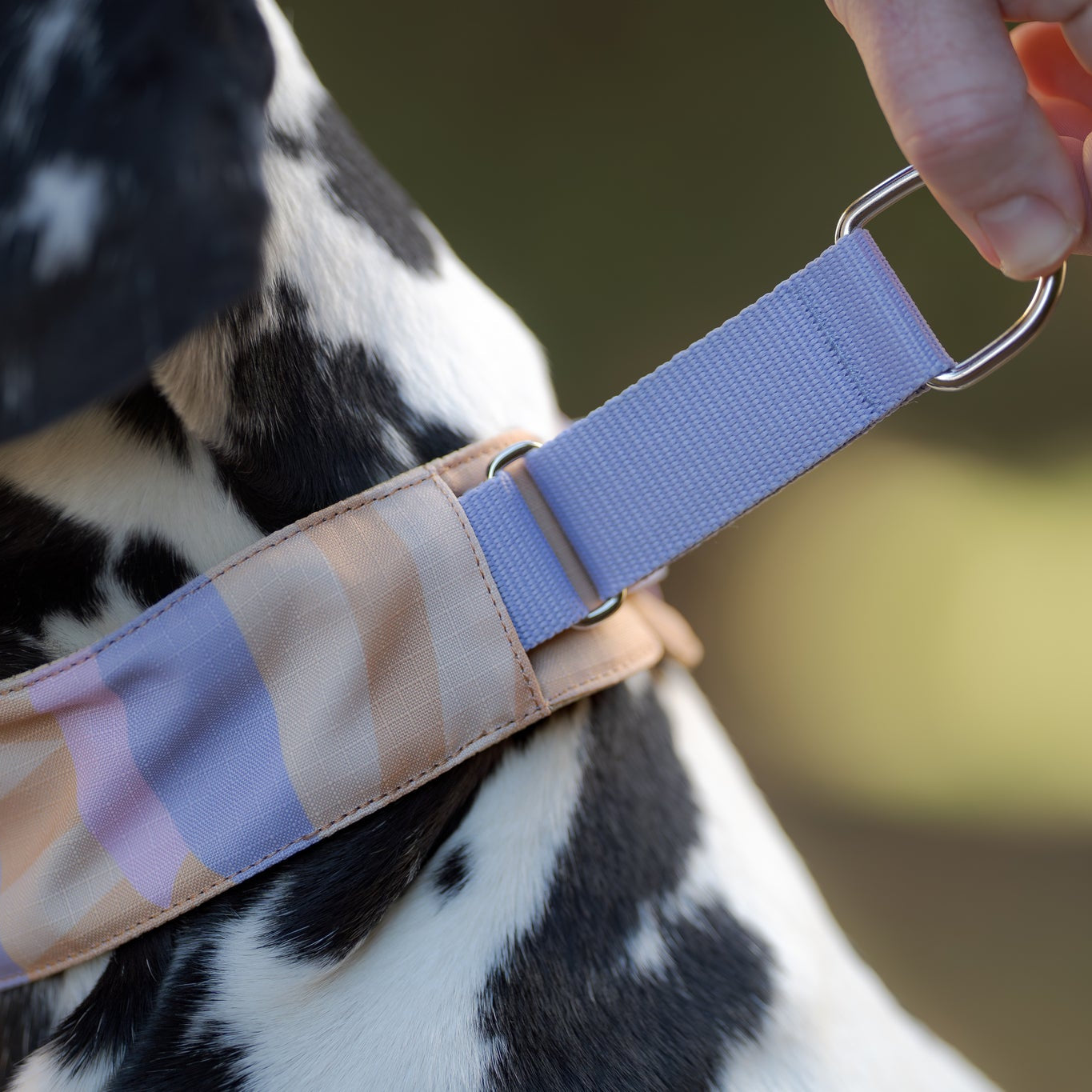 Sunshower Soft Martingale Collar - Afbeelding 4