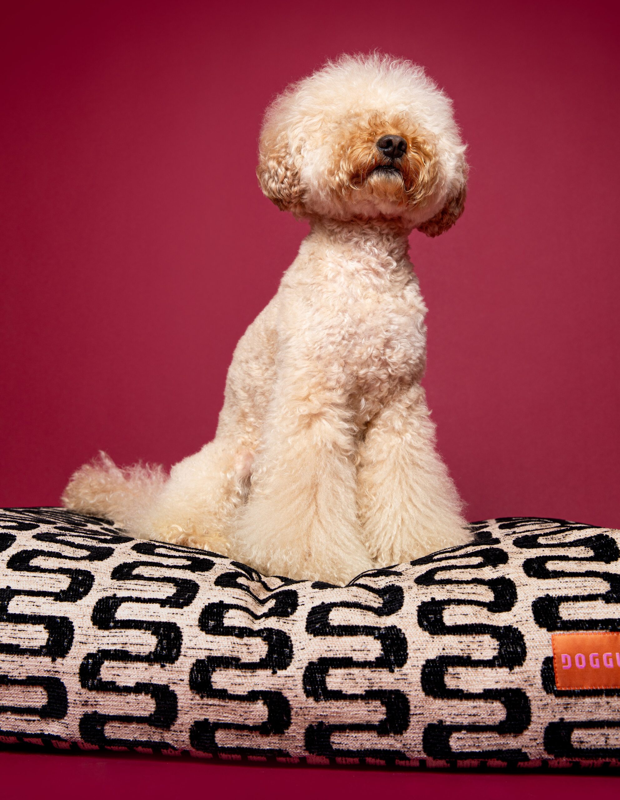 Retro wave dog bed - Afbeelding 4
