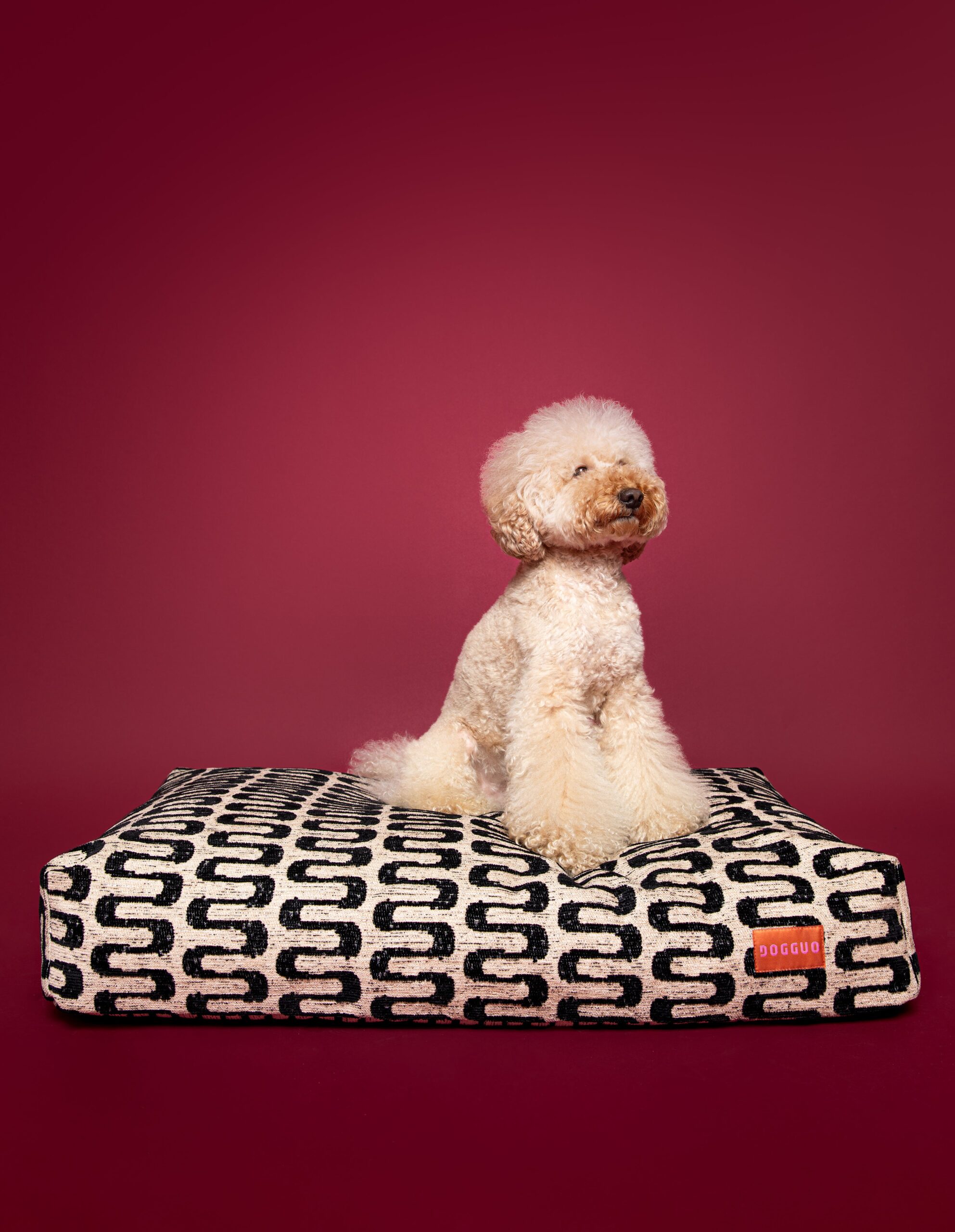 Retro wave dog bed - Afbeelding 2