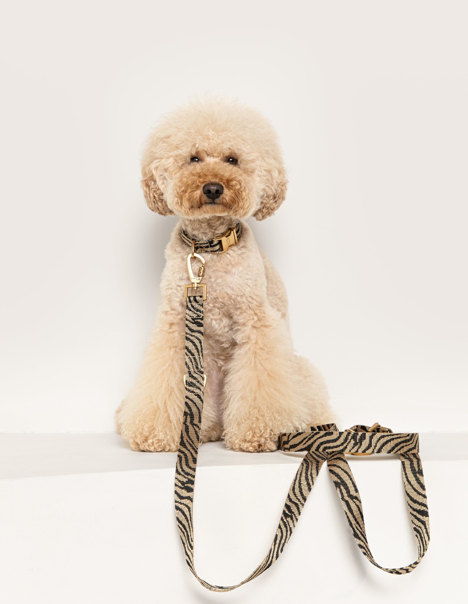 Zebra leash - Afbeelding 6