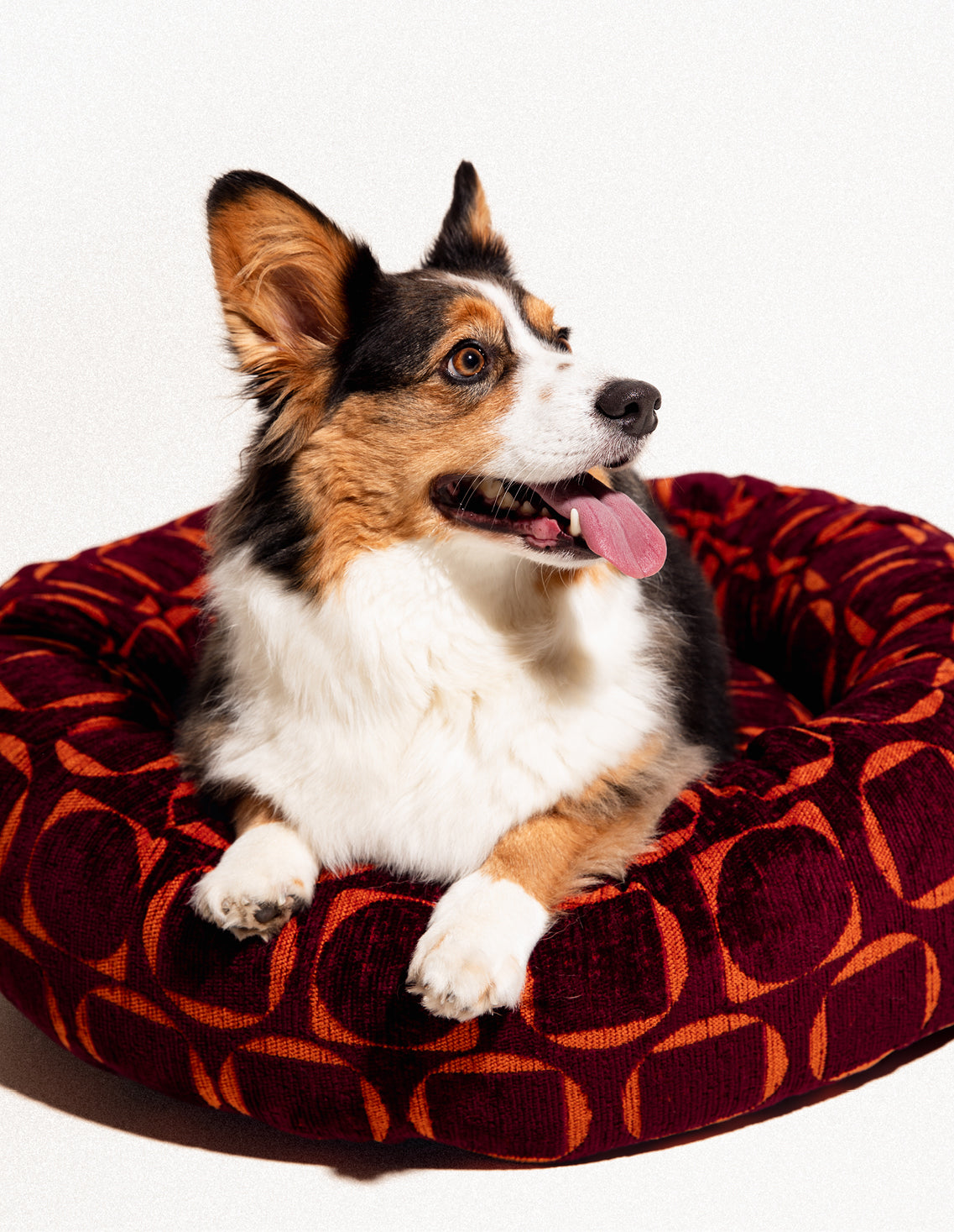 Retro round dog bed - Afbeelding 3