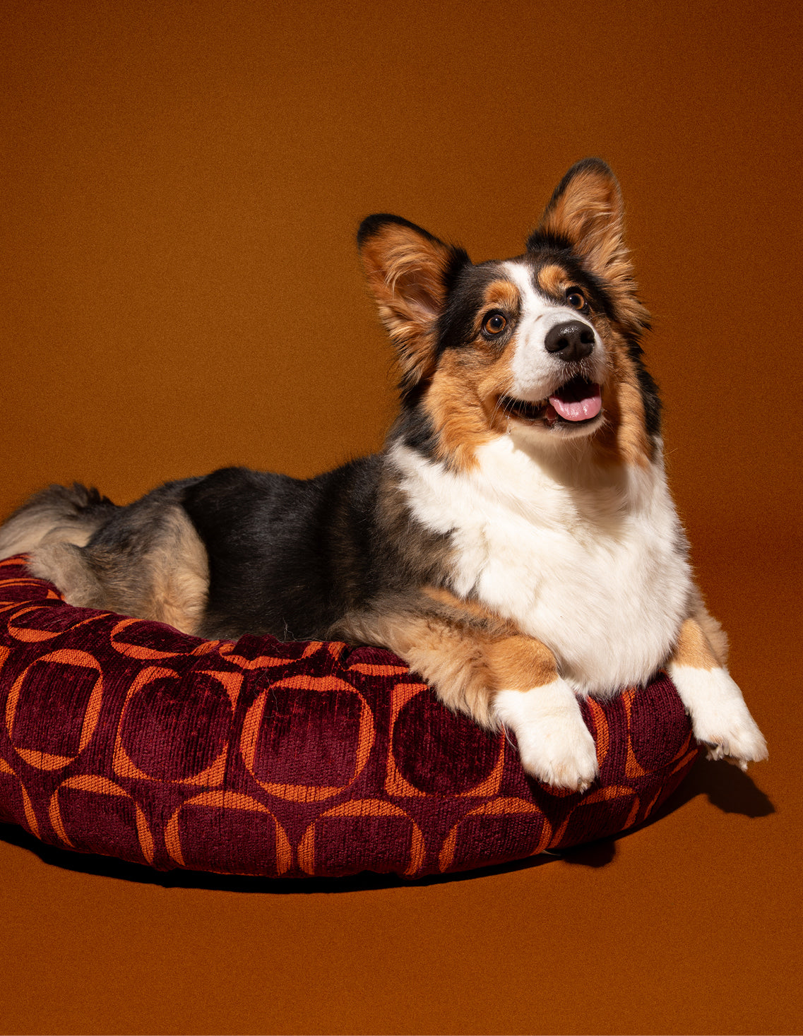 Retro round dog bed - Afbeelding 5