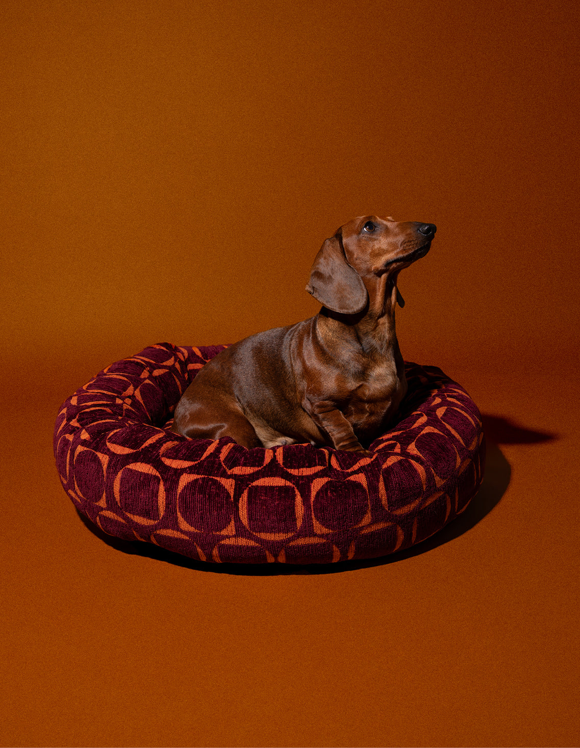 Retro round dog bed - Afbeelding 2