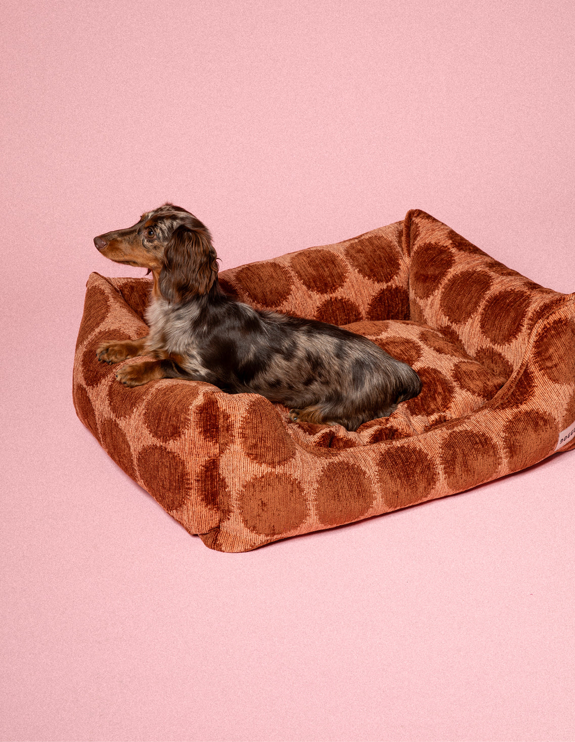 Dot sofa dog bed - Afbeelding 4