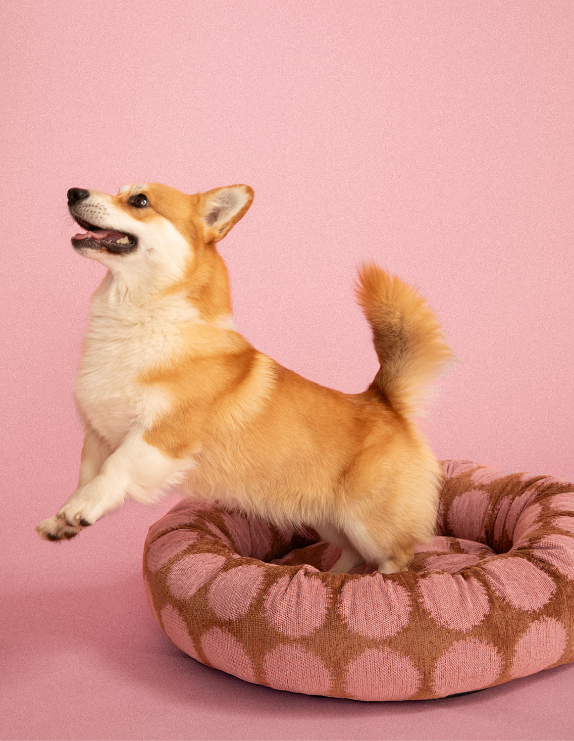 Dot round dog bed - Afbeelding 3